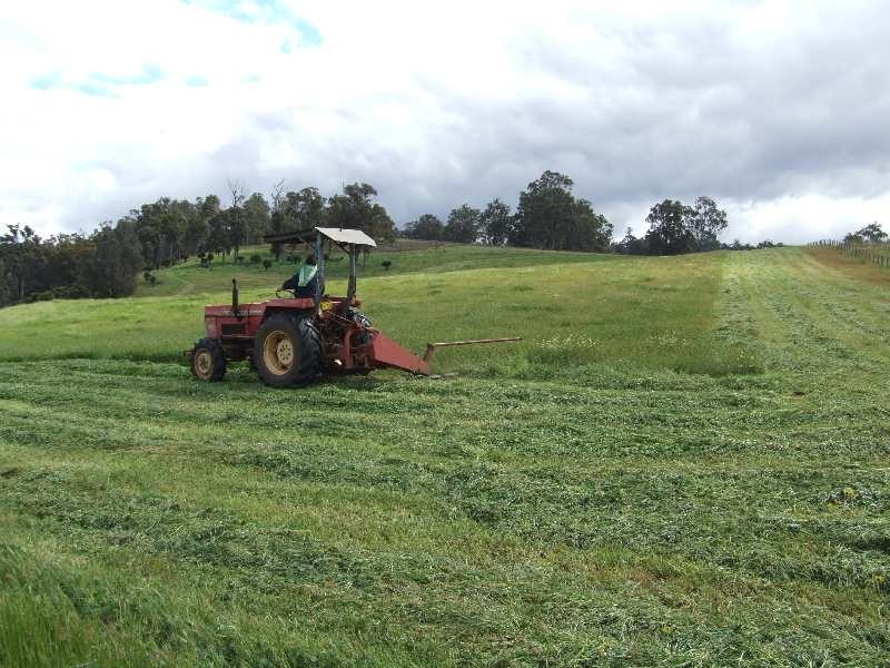 Lot 606, Hawterville Road, Mullalyup WA 6252