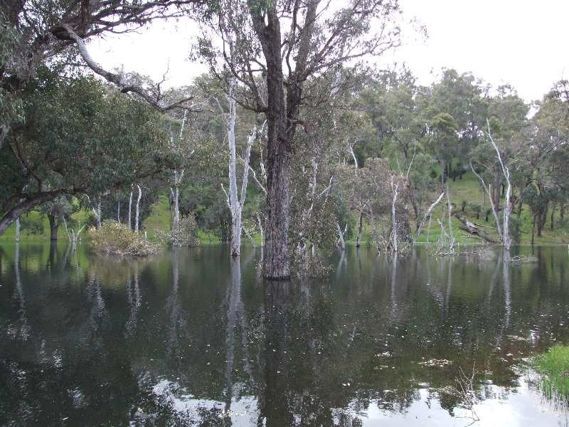Lot 606, Hawterville Road, Mullalyup WA 6252
