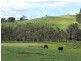 Lot 606, Hawterville Road, Mullalyup WA 6252