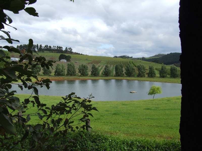 Lot 606, Hawterville Road, Mullalyup WA 6252