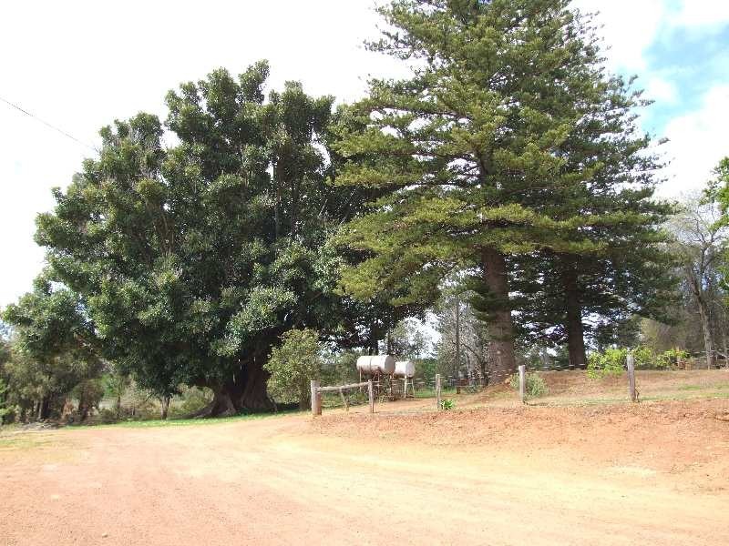Lot 606, Hawterville Road, Mullalyup WA 6252