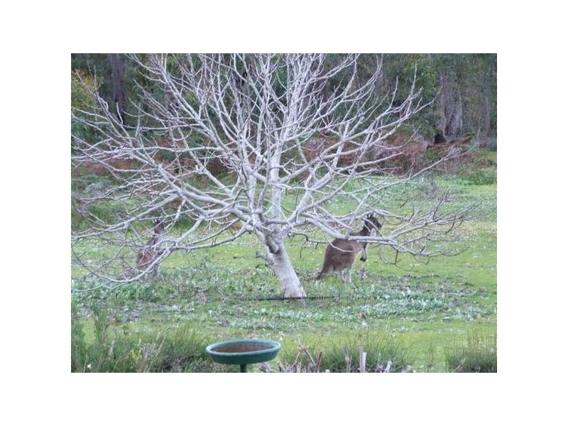 74 Nash Place, Donnybrook WA 6239