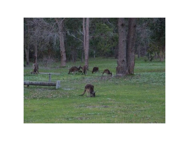 74 Nash Place, Donnybrook WA 6239