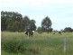 1 Scott, Boyanup WA 6237