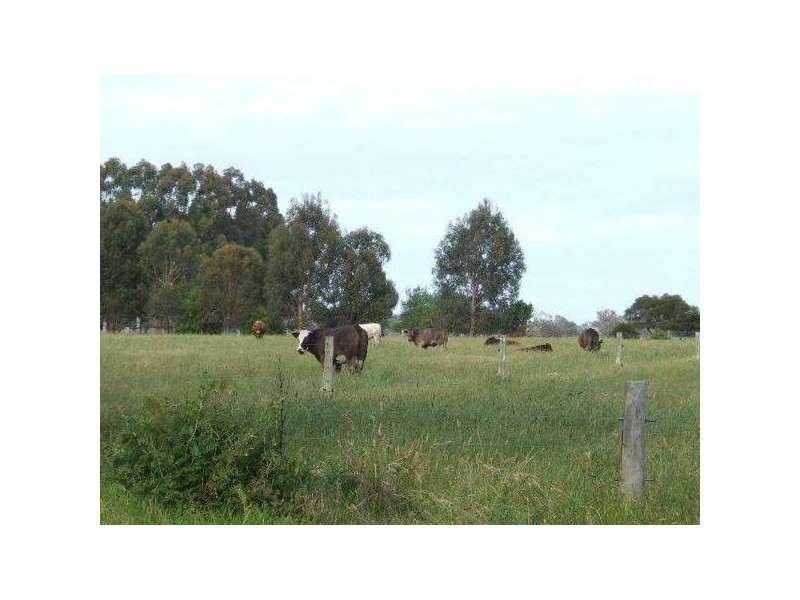 1 Scott, Boyanup WA 6237