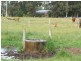 1 Scott, Boyanup WA 6237