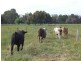1 Scott, Boyanup WA 6237