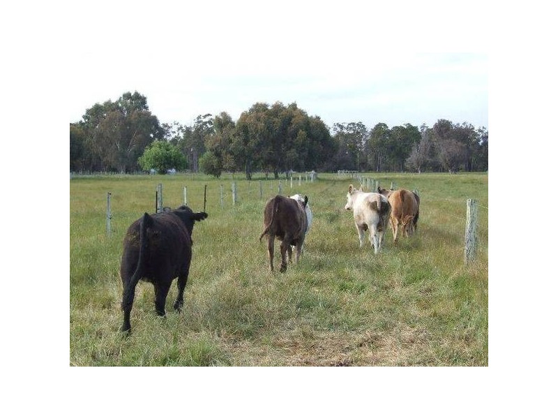 1 Scott, Boyanup WA 6237
