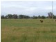1 Scott, Boyanup WA 6237