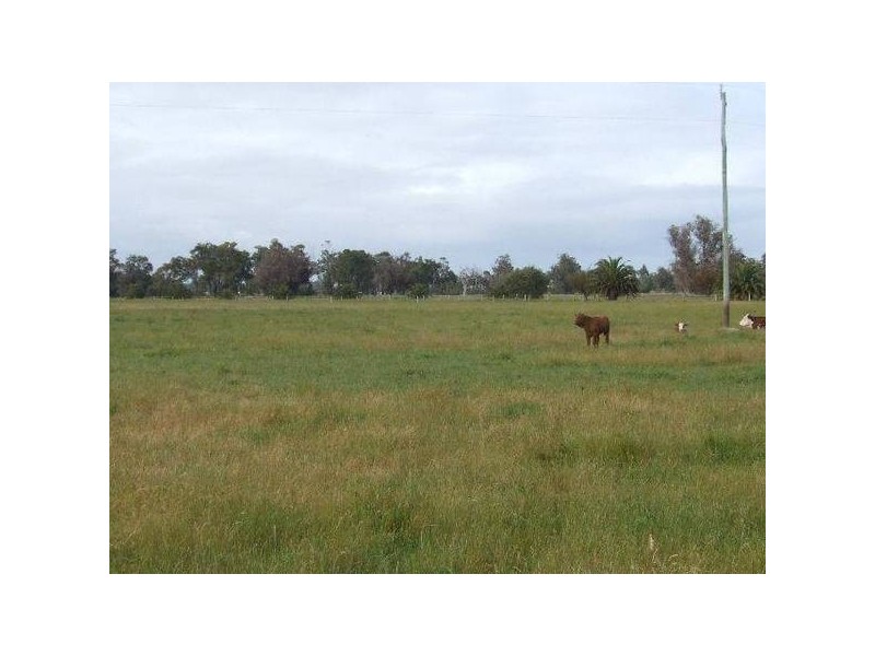 1 Scott, Boyanup WA 6237