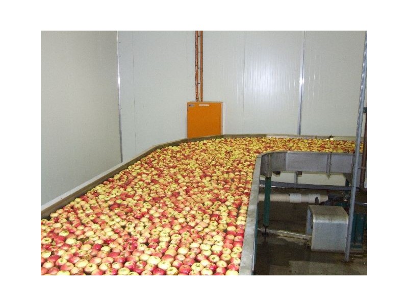 151 Brookhampton Road, Donnybrook WA 6239