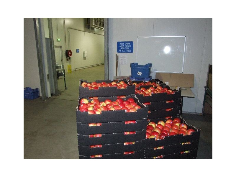 151 Brookhampton Road, Donnybrook WA 6239