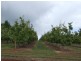 Mardawarra, Donnybrook WA 6239