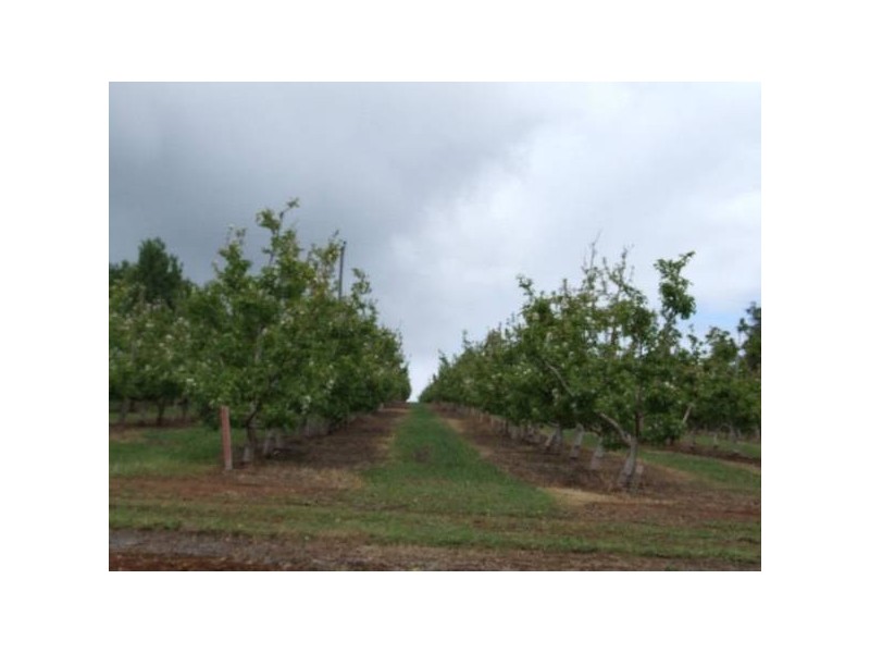 Mardawarra, Donnybrook WA 6239