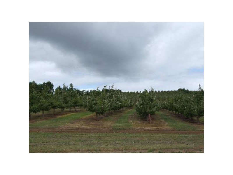 Mardawarra, Donnybrook WA 6239