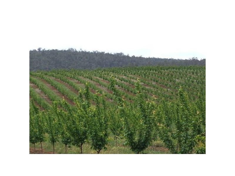Mardawarra, Donnybrook WA 6239