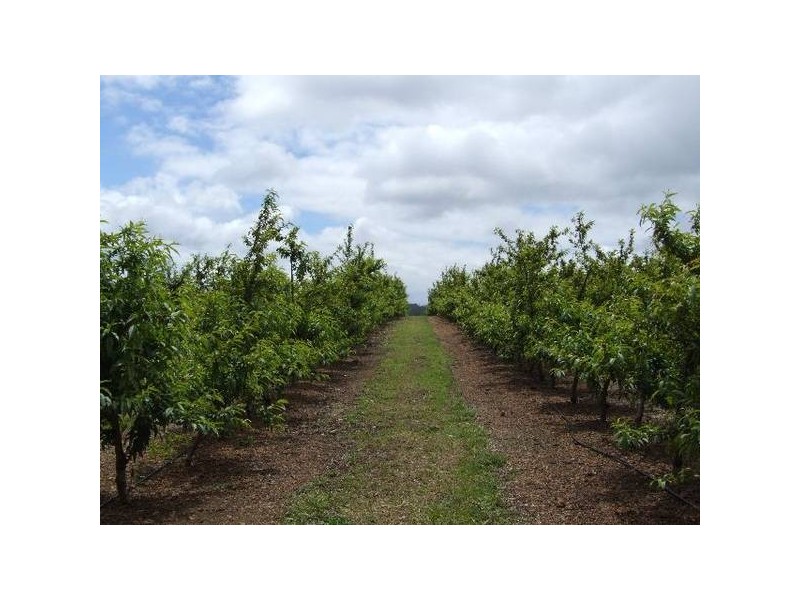 Mardawarra, Donnybrook WA 6239