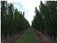 Mardawarra, Donnybrook WA 6239
