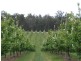 Mardawarra, Donnybrook WA 6239
