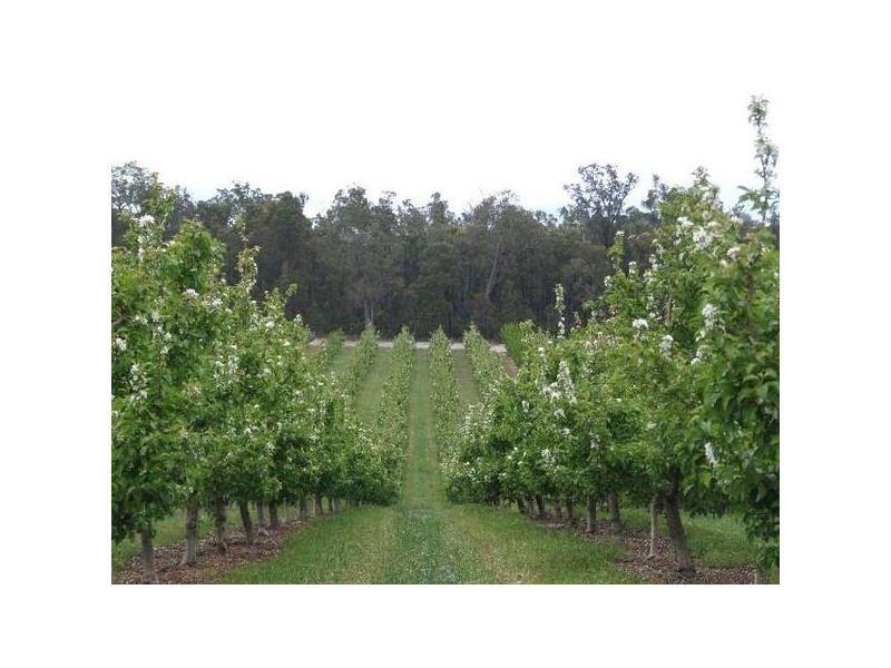 Mardawarra, Donnybrook WA 6239