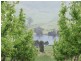 Mardawarra, Donnybrook WA 6239