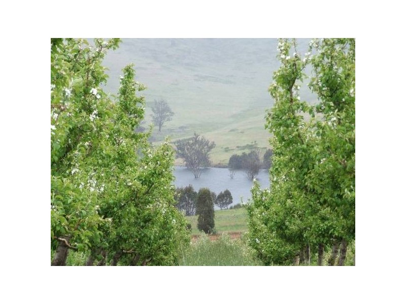 Mardawarra, Donnybrook WA 6239