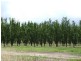 Mardawarra, Donnybrook WA 6239