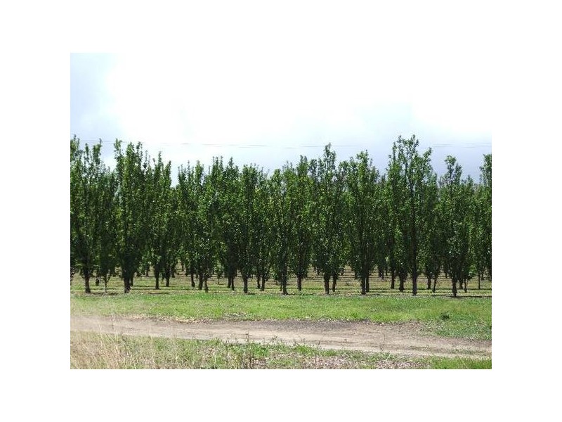 Mardawarra, Donnybrook WA 6239
