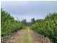 Mardawarra, Donnybrook WA 6239