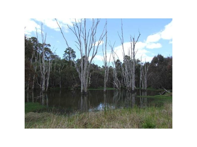 3124 Grist Road, Donnybrook WA 6239