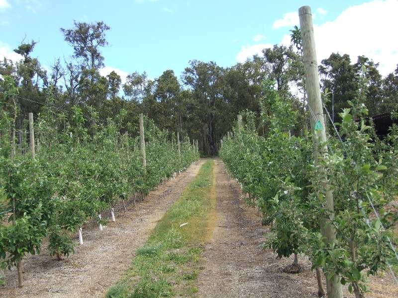 Lot 1,  Grist Road, Donnybrook WA 6239