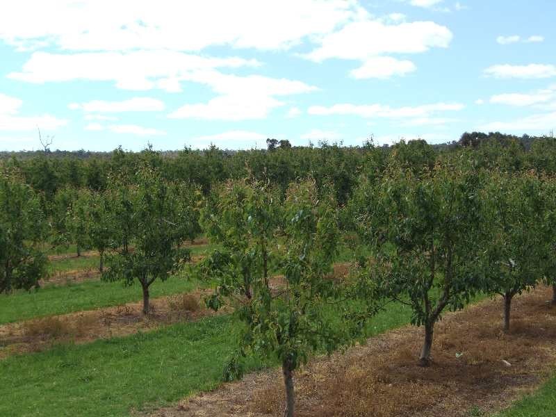 Lot 1,  Grist Road, Donnybrook WA 6239