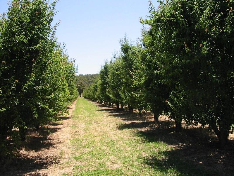 Lot 3244, Irishtown Road, Donnybrook WA 6239