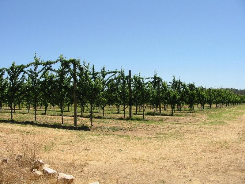 Lot 3244, Irishtown Road, Donnybrook WA 6239