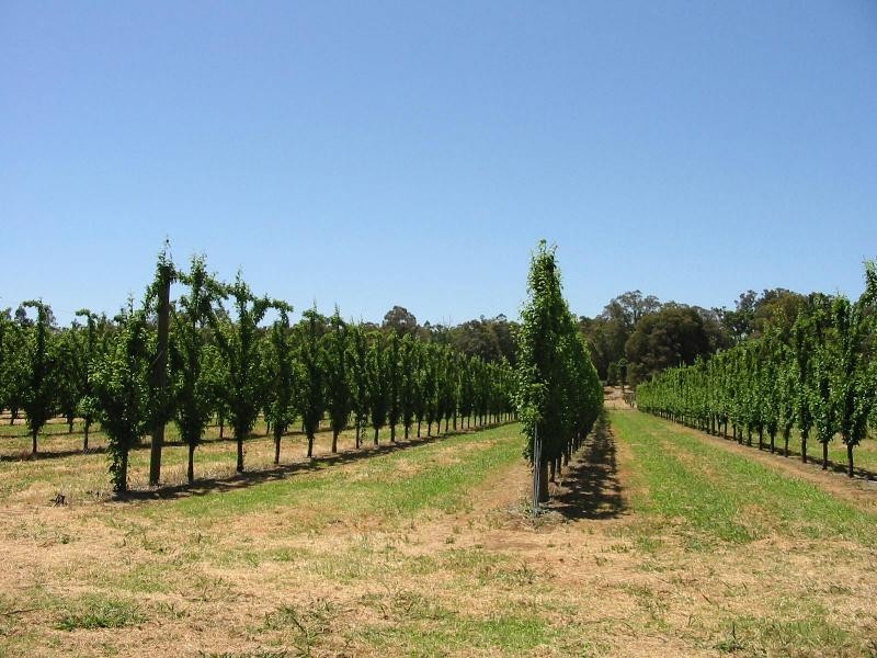 Lot 3244, Irishtown Road, Donnybrook WA 6239