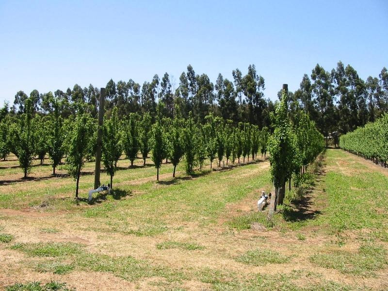 Lot 3244, Irishtown Road, Donnybrook WA 6239