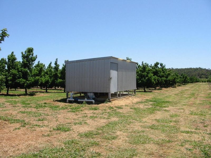 Lot 3244, Irishtown Road, Donnybrook WA 6239