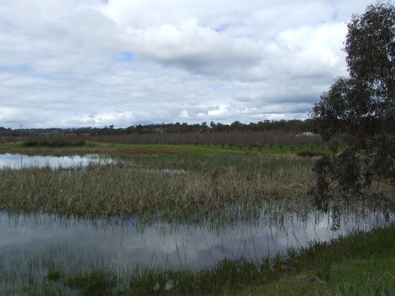 Lot 3244, Irishtown Road, Donnybrook WA 6239