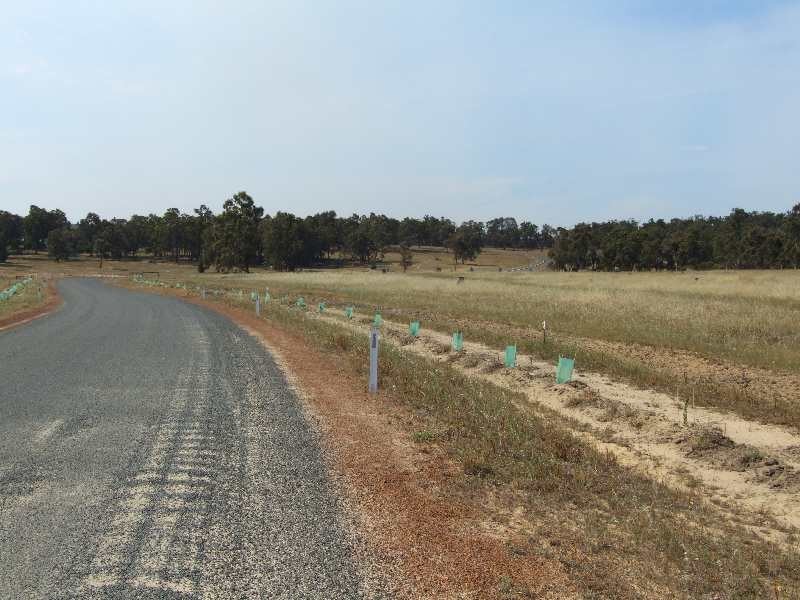 Lot 818,  Perseverance Boulevard, Donnybrook WA 6239