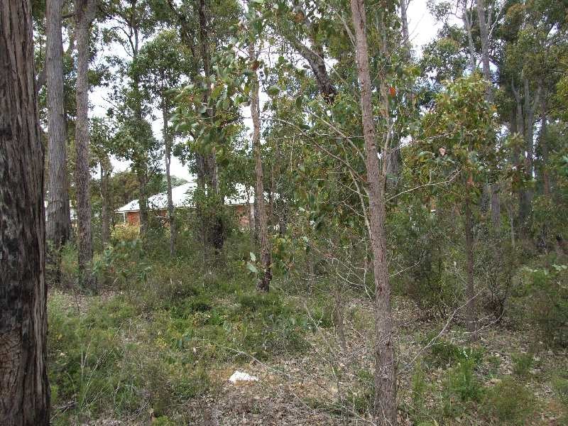 11 Castle Street, Kirup WA 6251