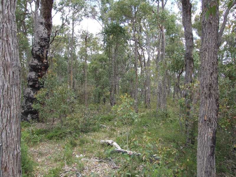 11 Castle Street, Kirup WA 6251