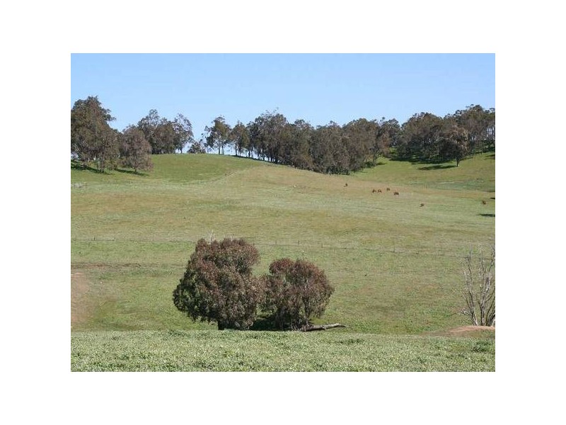 181 Wildmere Road, Donnybrook WA 6239