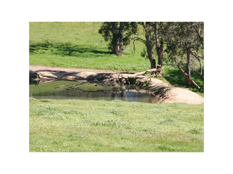 181 Wildmere Road, Donnybrook WA 6239