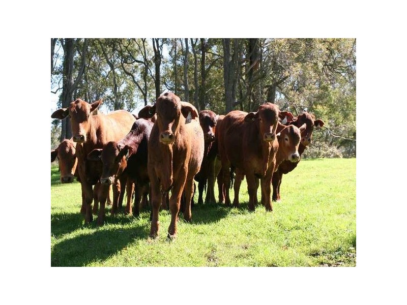 181 Wildmere Road, Donnybrook WA 6239