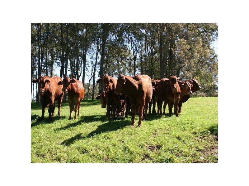 181 Wildmere Road, Donnybrook WA 6239