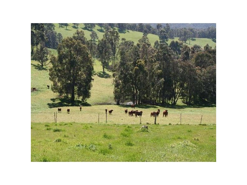 181 Wildmere Road, Donnybrook WA 6239