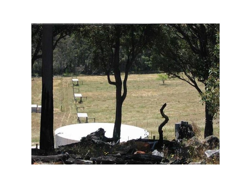 8 Banks Avenue, Collie WA 6225