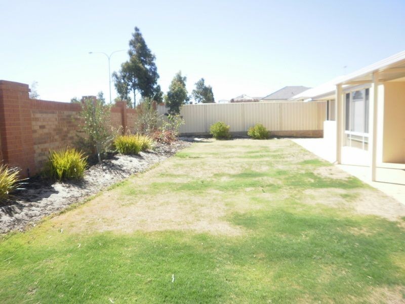 14 Sundowner Meander, Banksia Grove WA 6031