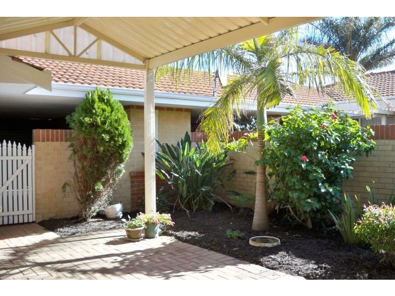 242 Huntriss Road, Doubleview WA 6018