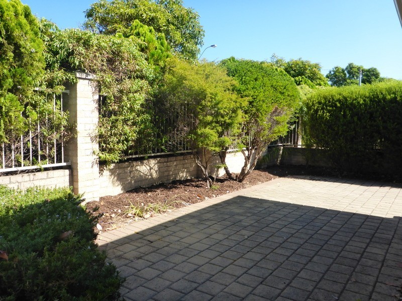 230 Herbert Street, Doubleview WA 6018